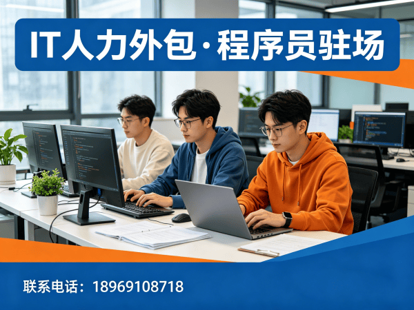 泉州IT人力外包解决方案:Go开发程序员精准匹配,破解企业技术人才困境
