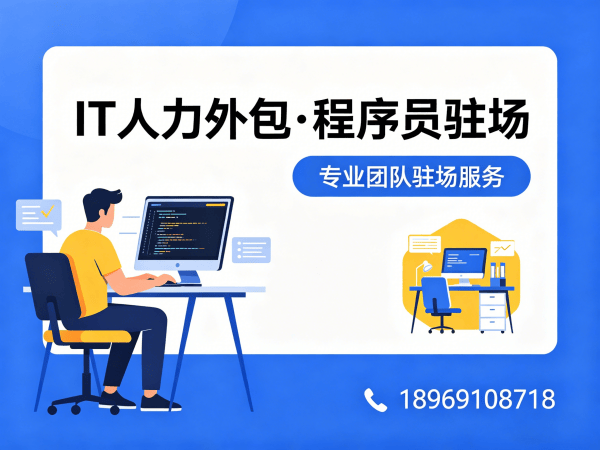 泉州IT人力外包解决方案：爬虫工程师程序员驻场开发快速响应