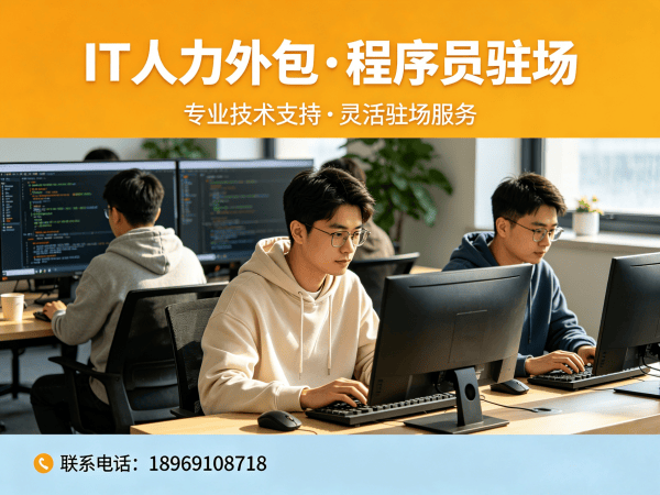 合肥IT人力外包解决方案：解决企业技术人才缺口与团队搭建难题