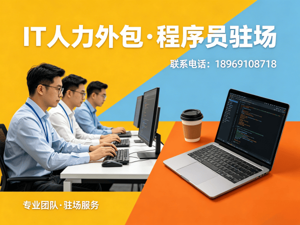 天津iOS开发程序员人力外包解决方案 高效解决企业技术人才短缺难题