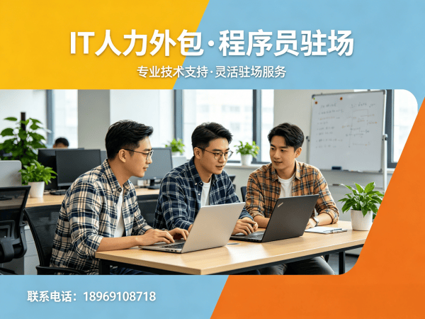 佛山IT人力外包解决方案：后端开发程序员驻场开发服务